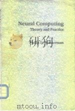 Neural Computing Theory and Practice     PDF电子版封面  0442207433   