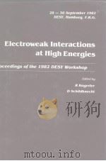 Electroweak Interactions at High Energies（ PDF版）