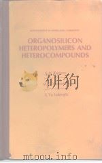 ORGANOSILICON HETEROPOLYMERS AND HETEROCOMPOUNDS     PDF电子版封面    S.N.Borisov M.G.Voronkov  E.Ya 