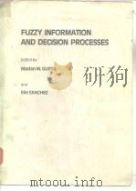 FUZZY INFORMATION AND DECISION PROCESSES     PDF电子版封面  0444864911   
