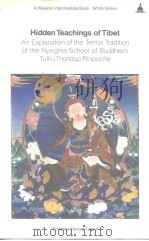Hidden Teachings of Tibet: An Explanation of the Terma Tradition of the Nyingma School of Buddhism     PDF电子版封面  086171041X  土尔库·桑度仁波切 