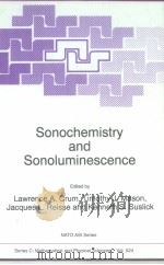 Sonochemistry and Sonoluminescence（ PDF版）