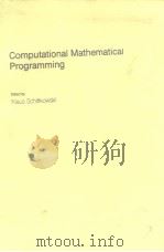 ComputationalMathematical Programming     PDF电子版封面     