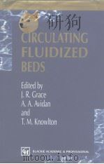 Circulating Fluidized Beds     PDF电子版封面     