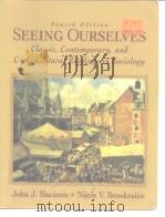Seeing Ourselves（ PDF版）