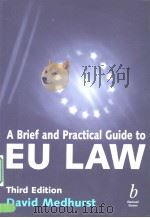 A Brief and Practical Guide to EU LaW（ PDF版）