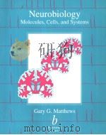 Neurobiolgy:Molecules  Cells  and  Systems     PDF电子版封面  0865424047   