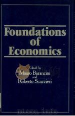 Foundations of Economics     PDF电子版封面  0631142533   