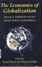 The economics of globalization:policy perspectives from public economics（ PDF版）