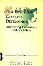 New East Asian economic development:interating capitalism and socialism     PDF电子版封面  1563242192  Keun Lee 