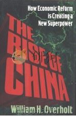 How Economic Reform is Creation a New Superpower（ PDF版）