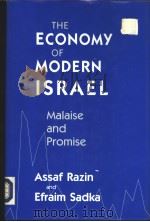The economy of modern Israel:malaise and promise     PDF电子版封面  0226705897   