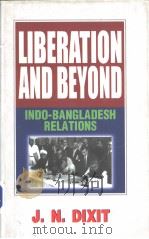 LIBERATION AND BEYOND     PDF电子版封面  8122005454  J.N.DIXIT 