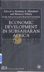 Economic Development in Subsaharan Africa     PDF电子版封面  0333794567   