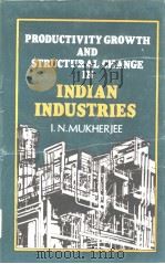 PRODUCTIVITY GROWTH AND STRUCTURAL CHANCE IN INDIAN INDUSTRIES     PDF电子版封面     