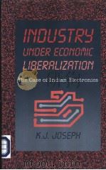 Industry under economic liberalization: the case of Indian electronics     PDF电子版封面  0761992111  K.J.Joseph 