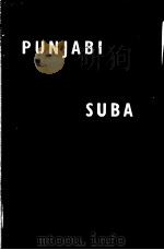 PUNJABI SUBA : THE STORY OF THE STRUGGLE     PDF电子版封面    AJIT SINGH SARHADI 