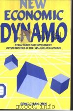 NEW ECONOMIC DYNAMO Structures and Investment Opportunities in the Malaysiasn Economy     PDF电子版封面  0868618020   