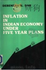 Inflation in Indian Economy Under Five Year Plans     PDF电子版封面    DEBENDRA K.DAS 