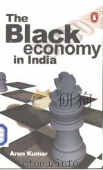THE BLACK ECONOMY IN INDIA     PDF电子版封面  0140278591  Arun Kumar 
