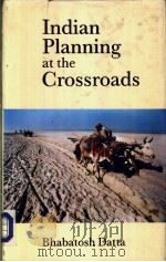 Indian Planning at the Crossroads     PDF电子版封面    Bhabatosh Datta 