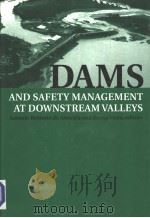 DNMS AND SAAFETY MANAGEMENT AT DOWNSTREAM VALLEYS     PDF电子版封面  9054109165   