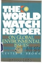 THE WORLD WATCH READER     PDF电子版封面  0393308308   