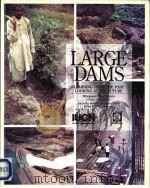 LARGE DAMS     PDF电子版封面     