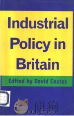 Industrial Policy in Britain（ PDF版）