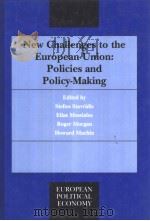 New Challenges to the European Union:Policies and Policy-Making（ PDF版）