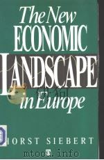 The New Economic Landscape in Europe     PDF电子版封面  0631182179   
