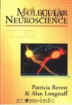 分子神经科学     PDF电子版封面  7506247437   