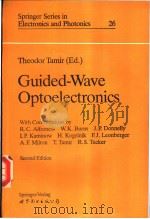 Guided-Wave Optoelectronics     PDF电子版封面  7506215268  Theodor Tamir 