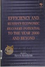 EFFICIENCY AND RUSSIA'S ECONOMIC RECOVERY POTENTIAL TO THE YEAR 2000 AND BEYOND     PDF电子版封面  1840144114   