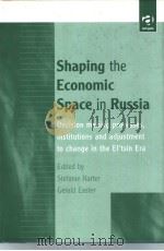 Shaping the Economic Space in Russia     PDF电子版封面  0754614077   