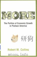 MORE The Politics of Economic Growth in Postwar America     PDF电子版封面  0195046463   