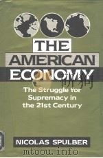 The American economy The struggle for supremacy in the 21st century（ PDF版）