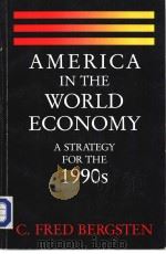 AMERICA IN THE WORLD ECONOMY A STRATEGY FOR THE 1990s     PDF电子版封面  088132082X   
