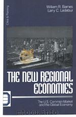 THE NEW REGIONAL EGCONOMIES:the U.S.common market and the global economy     PDF电子版封面  0761909397   