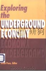 Exploring the UNDERGROUND ECONOMY:studies of illegal and unreported activity     PDF电子版封面  0880991658   