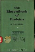 the Biosynthesis of Proteins（ PDF版）