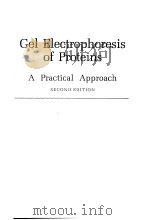 Gel Electrophoresis of Proteins A Practical Approach SECOND EDITION（ PDF版）