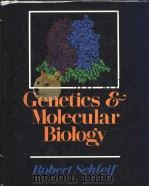 Genetics and Molecular Biology（ PDF版）