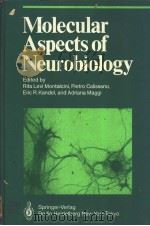 Molecular Aspects of Neurobiology     PDF电子版封面     