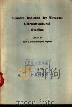 Tumors Induced by Viruses：Ultrastructural Studies 1962     PDF电子版封面     