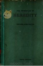 THE PRINCIPLES OF HEREDITY     PDF电子版封面     