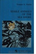 SESSILE ANIMALS OF THE SEA SHORE     PDF电子版封面  0412337606   