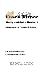 Foxes Three Molly and John Burkett     PDF电子版封面  0397316305   
