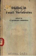 STUDIES ON FOSSIL VERTEBRATES presented to David Meredith Seares Watson     PDF电子版封面     