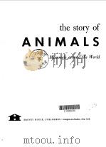 the story of ANIMALS Mammals around the World     PDF电子版封面     